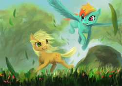 Size: 4242x3000 | Tagged: safe, artist:tiger-type, imported from derpibooru, applejack, rainbow dash, flying, grass, rock, short hair, short mane