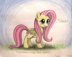 Size: 1003x797 | Tagged: safe, artist:thefriendlyelephant, imported from derpibooru, fluttershy, pegasus, pony, cute, female, grass, grin, smiling, solo, squee, traditional art