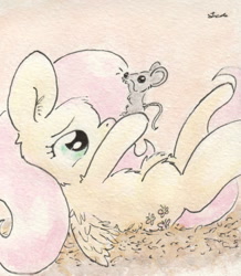 Size: 684x784 | Tagged: safe, artist:slightlyshade, imported from derpibooru, fluttershy, mouse, pegasus, pony, traditional art