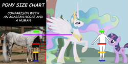 Size: 885x446 | Tagged: safe, imported from derpibooru, princess celestia, twilight sparkle, horse, human, /mlp/, 4chan, comic sans, comparison, height, hoers, irl, photo, size chart, size comparison