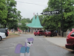 Size: 1277x958 | Tagged: safe, imported from derpibooru, maud pie, irl, lookout mountain, photo, ponies in real life, rock city