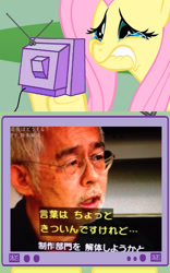 Size: 1952x3132 | Tagged: safe, imported from derpibooru, fluttershy, exploitable meme, meme, obligatory pony, studio ghibli, tv meme