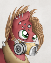 Size: 1675x2050 | Tagged: safe, artist:zirbronium, imported from derpibooru, big macintosh, earth pony, pony, borderlands, crossover, krieg, male, portrait, psycho, respirator, solo, stallion