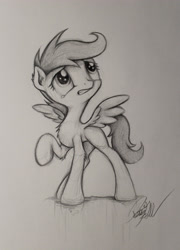 Size: 2364x3291 | Tagged: safe, artist:pajaga, imported from derpibooru, scootaloo, female, monochrome, solo, traditional art