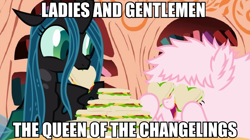 Size: 940x526 | Tagged: safe, imported from derpibooru, queen chrysalis, oc, oc:fluffle puff, image macro, meme, sandwich