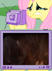 Size: 564x771 | Tagged: safe, imported from derpibooru, fluttershy, kaiju, exploitable meme, femuto, godzilla (series), godzilla 2014, meme, muto, obligatory pony, sad, tv meme