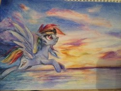 Size: 3264x2448 | Tagged: safe, artist:malinetourmaline, imported from derpibooru, rainbow dash, female, goggles, solo, traditional art