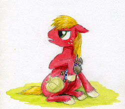 Size: 500x435 | Tagged: safe, artist:el-yeguero, imported from derpibooru, big macintosh, smarty pants, earth pony, pony, male, stallion, traditional art