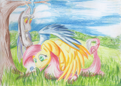 Size: 3491x2466 | Tagged: safe, artist:baldmoose, imported from derpibooru, discord, fluttershy, discoshy, female, male, shipping, straight, traditional art