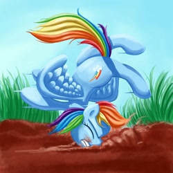 Size: 1500x1500 | Tagged: safe, artist:jayzonsketch, imported from derpibooru, rainbow dash, pegasus, pony, butt, crash landing, dirt, faceplant, female, landing, lithobraking, mare, plot, rainbow crash, rainbutt dash, solo