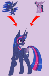 Size: 500x782 | Tagged: safe, artist:deusexequus, imported from derpibooru, princess luna, twilight sparkle, alicorn, pony, female, fusion, mare, simple background, twilight sparkle (alicorn)