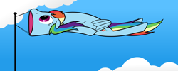 Size: 2500x1000 | Tagged: safe, artist:tfinequestria, imported from derpibooru, rainbow dash, inanimate tf, objectification, solo, transformation, windsock