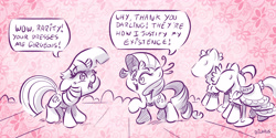 Size: 4000x2000 | Tagged: safe, artist:dilarus, deleted from derpibooru, imported from derpibooru, rarity, twilight sparkle, alicorn, pony, meet-the-pones, female, mare, twilight sparkle (alicorn)