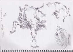 Size: 3464x2501 | Tagged: safe, artist:explonova, imported from derpibooru, applejack, applebuck, sketch, traditional art