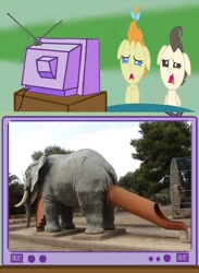 Size: 562x768 | Tagged: safe, imported from derpibooru, pound cake, pumpkin cake, elephant, cake twins, exploitable meme, funny, joke, meme, obligatory pony, slide, tv meme, unfortunate design, what has science done