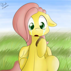 Size: 2000x2000 | Tagged: safe, artist:ando, imported from derpibooru, fluttershy, crying, cute, day, female, grass, solo