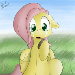 Size: 2000x2000 | Tagged: safe, artist:ando, imported from derpibooru, fluttershy, crying, cute, female, solo, unshorn fetlocks