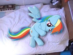 Size: 750x562 | Tagged: safe, artist:tesla51, artist:waranto, imported from derpibooru, rainbow dash, pegasus, pony, bed, crying, curled up, female, irl, mare, photo, ponies in real life, sad, solo, spread wings, vector, wings