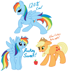 Size: 1262x1342 | Tagged: safe, artist:shamrock, imported from derpibooru, applejack, rainbow dash, apple, sunglasses