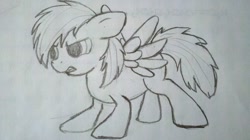 Size: 1280x719 | Tagged: safe, artist:shamrock, imported from derpibooru, rainbow dash, female, filly, monochrome, solo, traditional art, younger