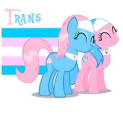 Size: 263x263 | Tagged: safe, imported from derpibooru, aloe, lotus blossom, earth pony, pony, flag, headcanon, pride, transgender, transgender pride flag