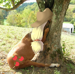 Size: 468x458 | Tagged: safe, edit, imported from derpibooru, applejack, horse, pony, hoers, irl, irl horse, live action applejack, photo, recolored hoers, silly, silly pony, stuck, who's a silly pony