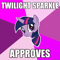 Size: 600x600 | Tagged: safe, imported from derpibooru, twilight sparkle, image macro, meme, seal of approval