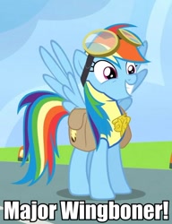 Size: 546x711 | Tagged: safe, edit, edited screencap, imported from derpibooru, screencap, rainbow dash, pegasus, pony, wonderbolts academy, badge, clothes, cropped, female, goggles, grin, image macro, mare, meme, saddle bag, smiling, solo, spread wings, squee, uniform, wingboner, wings, wonderbolt trainee uniform, wonderbolts, wonderbolts uniform