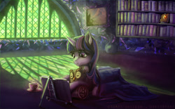 Size: 800x496 | Tagged: safe, artist:cosmicunicorn, imported from derpibooru, owlowiscious, twilight sparkle, alicorn, pony, book, bookcase, bookshelf, cute, eyes closed, female, hug, mare, prone, reading, smiling, tea, twilight sparkle (alicorn), twilight's castle, window