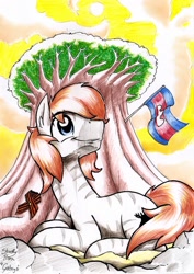 Size: 1648x2333 | Tagged: safe, artist:studlyhorn, imported from derpibooru, oc, oc only, oc:kouprisa, earth pony, pony, zebra, baobab, cambodia, cloud, cloudy, flag, male, ribbon of saint george, russian, sky, smiling, sun, tree