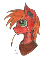 Size: 763x1048 | Tagged: safe, artist:mane-shaker, imported from derpibooru, big macintosh, earth pony, pony, colored, male, solo, stallion, traditional art, watercolor painting