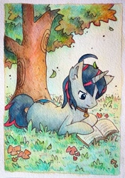 Size: 417x592 | Tagged: artist needed, safe, imported from derpibooru, oc, oc only, oc:quantum shift, pony, unicorn, ankh, book, prone, reading, solo, tree