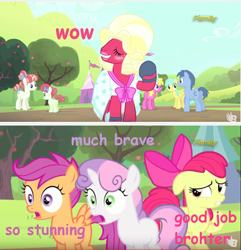 Size: 854x886 | Tagged: safe, edit, edited screencap, imported from derpibooru, screencap, apple bloom, big macintosh, blues, cherry berry, noteworthy, rainberry, rainbow stars, scootaloo, sunshower raindrops, sweetie belle, earth pony, pegasus, pony, unicorn, brotherhooves social, butt, comic sans, cutie mark crusaders, doge, female, filly, image macro, male, meme, orchard blossom, pink text, plot, purple text, stallion