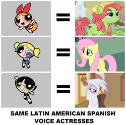 Size: 898x890 | Tagged: safe, artist:3d4d, imported from derpibooru, fluttershy, gilda, tree hugger, griffon, blossom (powerpuff girls), bubbles (powerpuff girls), buttercup (powerpuff girls), cristina hernandez, exploitable meme, latin american, maggie vera, meme, rossy aguirre, same voice actor, spanish, the powerpuff girls, voice actor