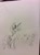 Size: 1936x2592 | Tagged: artist needed, safe, imported from derpibooru, rarity, fabulous, female, monochrome, pretty, solo, traditional art