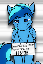 Size: 1587x2327 | Tagged: safe, artist:ralek, imported from derpibooru, oc, oc only, oc:umami stale, pegasus, pony, dog lip, fluffy, lidded eyes, looking at you, mugshot, sitting, smiling, smirk, smug, solo