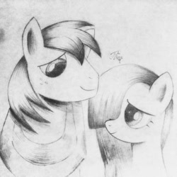 Size: 1024x1024 | Tagged: safe, artist:theasce, imported from derpibooru, big macintosh, marble pie, earth pony, pony, male, marblemac, monochrome, shipping, stallion, straight, traditional art