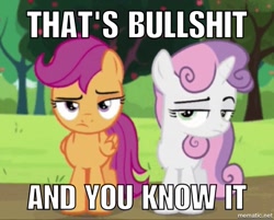 Size: 750x604 | Tagged: safe, imported from derpibooru, screencap, scootaloo, sweetie belle, brotherhooves social, caption, reaction image