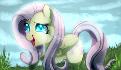 Size: 1024x595 | Tagged: safe, artist:scatteredlove, imported from derpibooru, fluttershy, butterfly, female, grass, solo