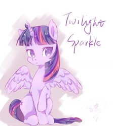 Size: 1400x1571 | Tagged: safe, artist:xshrxshrxshr, imported from derpibooru, twilight sparkle, alicorn, pony, female, mare, raised hoof, sitting, solo, twilight sparkle (alicorn)