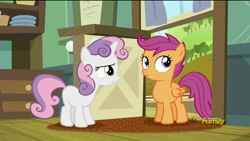 Size: 1920x1080 | Tagged: safe, imported from derpibooru, screencap, scootaloo, sweetie belle, brotherhooves social