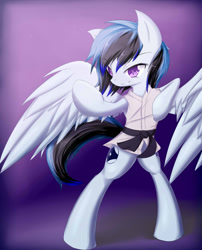 Size: 802x995 | Tagged: safe, artist:scynexx, imported from derpibooru, oc, oc only, oc:sentoki, pegasus, pony, black belt, gi, jujitsu, martial arts, smirk, solo, standing