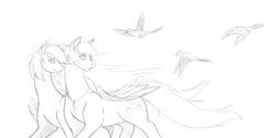 Size: 1188x594 | Tagged: safe, artist:shybaldur, imported from derpibooru, applejack, rainbow dash, bird, monochrome