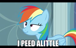 Size: 1280x800 | Tagged: safe, edit, edited screencap, imported from derpibooru, screencap, rainbow dash, caption, image macro, implied urine, meme, misspelling, scrunchy face, text