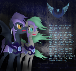 Size: 613x577 | Tagged: safe, artist:alcia526, artist:alica526, imported from derpibooru, oc, oc only, bat pony, pony, armor, motto, new lunar republic, night guard, pledge