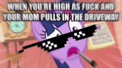 Size: 606x337 | Tagged: safe, edit, imported from derpibooru, screencap, twilight sparkle, drug use, drugs, female, hallucination, image macro, marijuana, meme, solo, vulgar