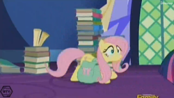 Size: 1366x768 | Tagged: safe, imported from derpibooru, screencap, fluttershy, the hooffields and mccolts, discovery family logo, saddle bag