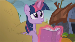 Size: 1920x1080 | Tagged: safe, imported from derpibooru, screencap, twilight sparkle, alicorn, pony, the hooffields and mccolts, book, discovery family logo, female, haystack, magic, mare, twilight sparkle (alicorn)