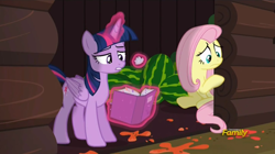 Size: 1904x1067 | Tagged: safe, imported from derpibooru, screencap, fluttershy, twilight sparkle, alicorn, pony, the hooffields and mccolts, book, discovery family logo, duo, female, food, magic, mare, twilight sparkle (alicorn), watermelon