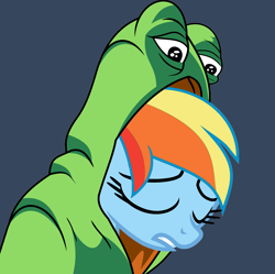 Size: 2208x2200 | Tagged: safe, artist:fillylover, imported from derpibooru, rainbow dash, feels, feels bad man, female, frog costume, frog suit, image macro, meme, pepe the frog, solo